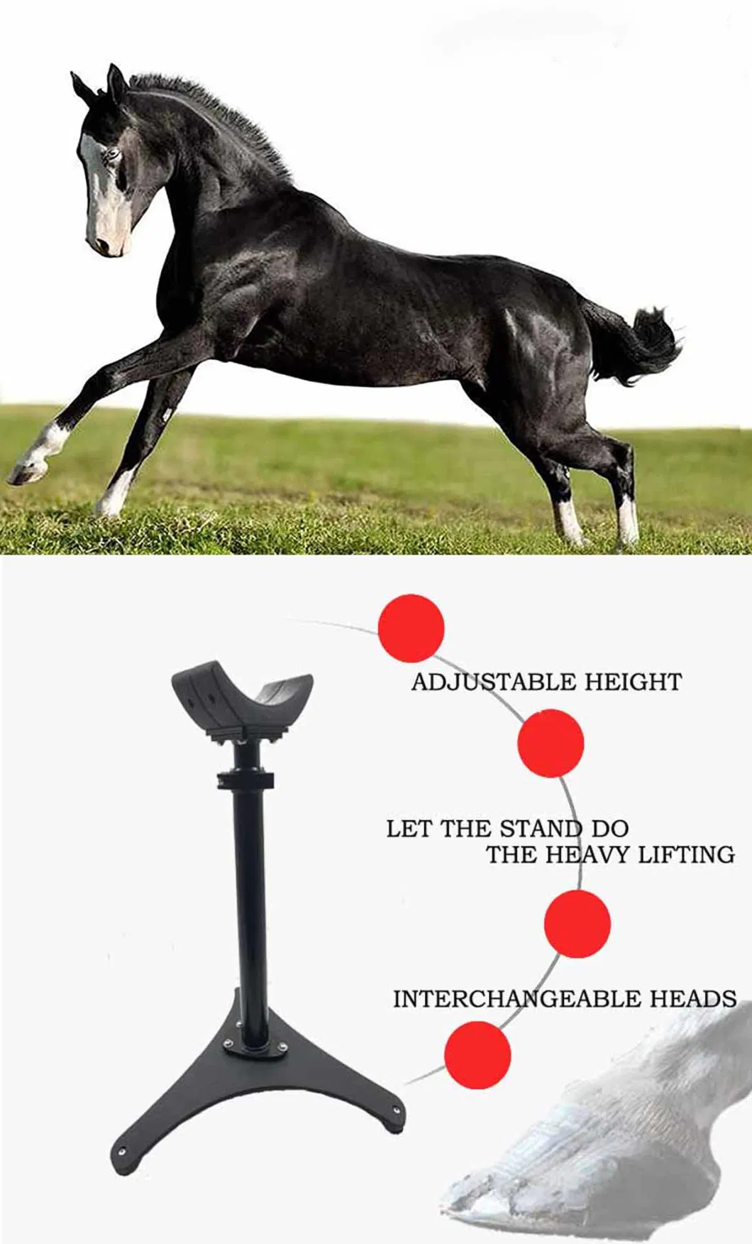 Adjustable Steel Black Surface Treatment Hoof Stand for Horse